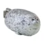 Adorable Seal Plush Pillow 30/40cm