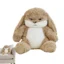 Adorable Bunny Plush Toy for Kids & Babies