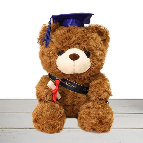 Congrats Grad Cute Plush Bear for Preschool KG | PricZone