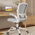 Adjustable ErgoMesh Chair Lumbar Support Comfort | PricZone