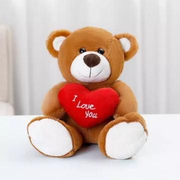 Valentines Love Bear Plush Heart Gift for Girls | PricZone