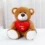 Valentine’s Love Bear: Plush Heart Gift for Girls