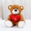 Valentine’s Love Bear: Plush Heart Gift for Girls