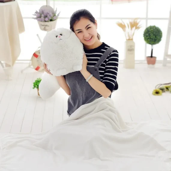 Cute Persian Cat Plush Toy Soft Pillow Gift 6 | PricZone