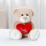 Valentines Love Bear Plush Heart Gift for Girls 3 | PricZone