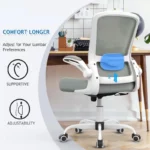 Adjustable ErgoMesh Chair Lumbar Support Comfort 3 | PricZone