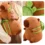 Soft Capybara Plush Pillow Toy for Kids 6+