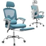 Reclining Ergonomic Mesh Office Chair with footrest | PricZone