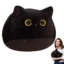 Cozy Black Cat and Other Plush Pillows for Decor