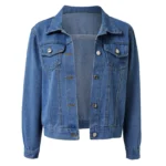 Korean Denim Jacket Y2K Style 4 | PricZone