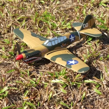 P40 RC Fighter Plane 6 Axis RTF for Adults | PricZone