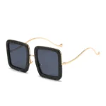 Designer Oversized Sunglasses for Men Women 5 | PricZone