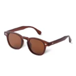 Rivet Polarized Shades for Stylish UV Protection 2 | PricZone