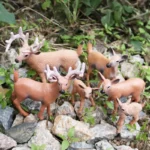 Forest Animal Figurines Set Miniature Toy Ornaments 2 | PricZone