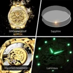 Luxury Golden Dragon Mens Watch OUPINKE 3276 Automatic 5 | PricZone