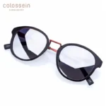 Fashion Polarized Sunglasses for Women by COLOSSEIN 2 | PricZone