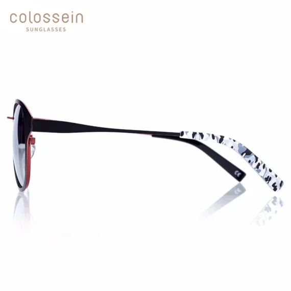 Fashion Polarized Sunglasses for Women by COLOSSEIN 3 | PricZone