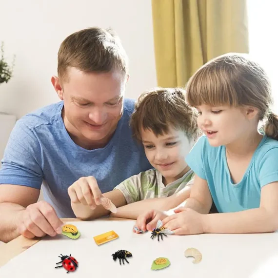 8 Piece Ladybug Life Cycle Learning Kit 2 | PricZone