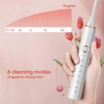 Rechargeable Sonic Electric Toothbrush for Adults 6 | PricZone