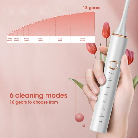 Rechargeable Sonic Electric Toothbrush for Adults 6 | PricZone