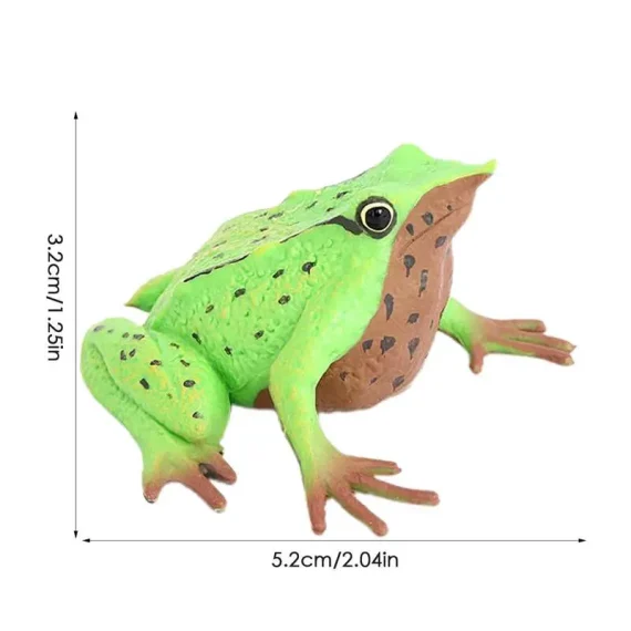 Realistic Frog Action Figure Bath and Education Toy 6 | PricZone