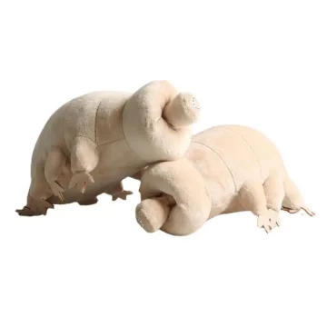 Tardigrade Water Bear Plush Toy 25cm 2