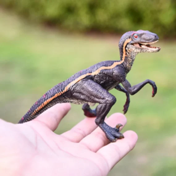 Realistic Velociraptor Dinosaur Figurine Set 5 | PricZone