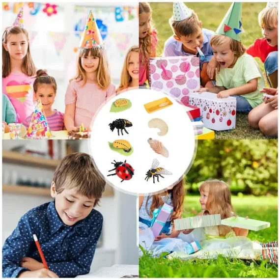 8 Piece Ladybug Life Cycle Learning Kit 4 | PricZone