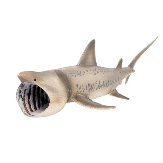 Giant Megalodon Shark Model Action Figure Toy 1 | PricZone