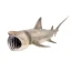 Giant Megalodon Shark Model Action Figure Toy