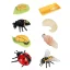 8-Piece Ladybug Life Cycle Learning Kit