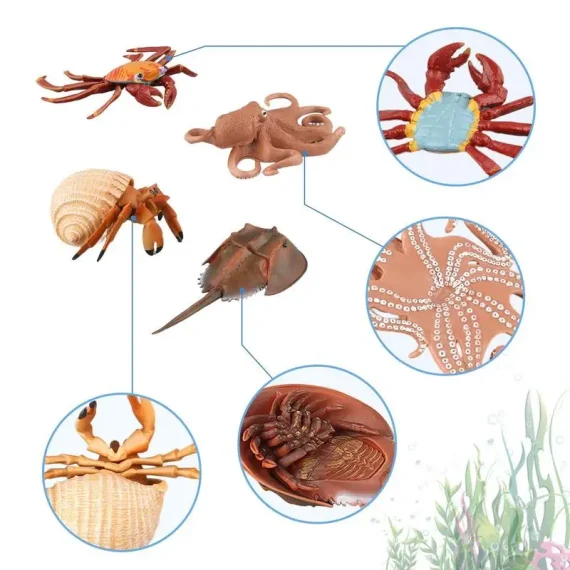 Ocean Animals Figures Assorted Realistic Sea Animal Toys Featuring Crabs Sea Turtles Hermit Crabs Octopus Ray Chinese Horseshoe 2 | PricZone