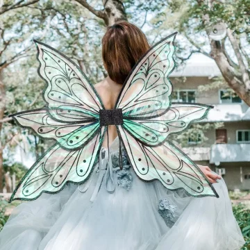 Fairy Princess Angel Wings Costume 1