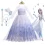 Frozen Snow Queen Girls Cosplay Costume