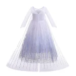 Disney Frozen 2 Cosplay Costumes for Girls Anna Elsa Princess Snow Queen Long Dresses Halloween Party Carnival Clothes Vestido 3 | PricZone