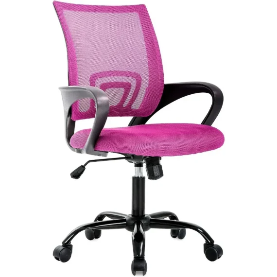 Affordable Ergonomic Office Chair with Lumbar Support 4 | PricZone