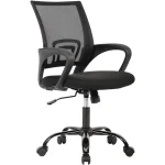 Affordable Ergonomic Office Chair with Lumbar Support 1 | PricZone