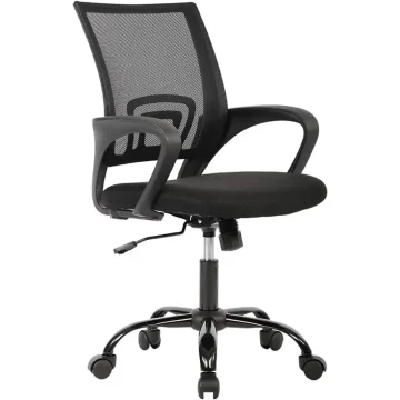 Affordable Ergonomic Office Chair with Lumbar Support 1