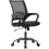 Affordable Ergonomic Office Chair with Lumbar Support