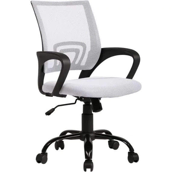 Affordable Ergonomic Office Chair with Lumbar Support 5 | PricZone