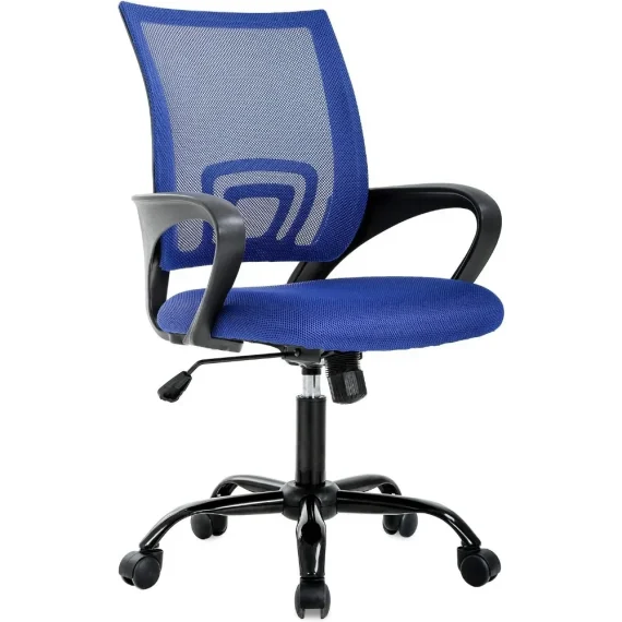 Affordable Ergonomic Office Chair with Lumbar Support 6 | PricZone