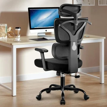 Ergonomic Office Chair with High Back and Lumbar Support 1