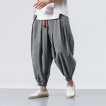 Oversized Harem Pants for Streetwear Style 4 | PricZone