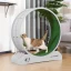 31.5-Inch Large Indoor Cat Treadmill with Locking Mechanism