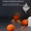 Interactive Glowing Cat Ball Toy for Indoor Play