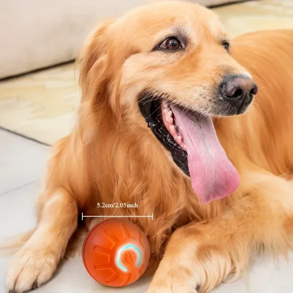 Interactive Smart Dog Toy Ball USB Automatic Bounce 4 | PricZone