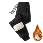 Winter Thick Warm Windproof Cotton Pants 3 | PricZone