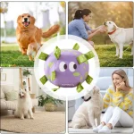 Interactive Plush Dog Football with Bell Bite Resistant Toy 2 | PricZone