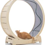 Cat Exercise Wheel Running Spinning Scratching Climbing 1 | PricZone