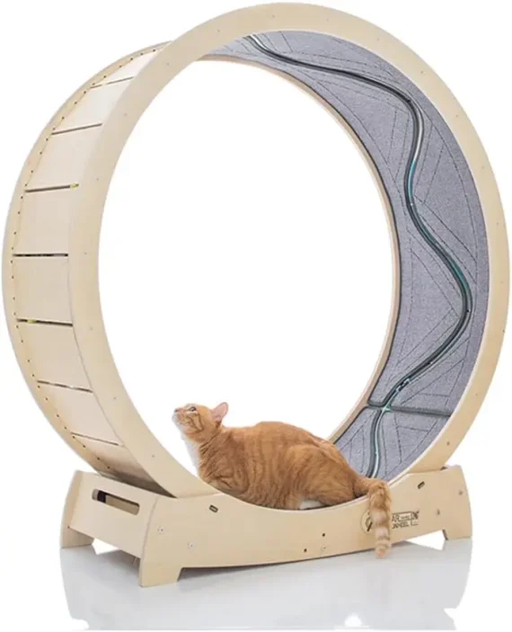 Cat Exercise Wheel Running Spinning Scratching Climbing 1 | PricZone